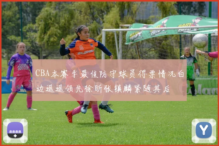 CBA本赛季最佳防守球员得票情况白边遥遥领先徐昕张镇麟紧随其后