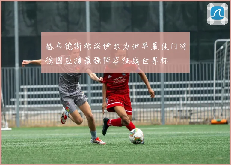 赫韦德斯称诺伊尔为世界最佳门将德国应携最强阵容征战世界杯